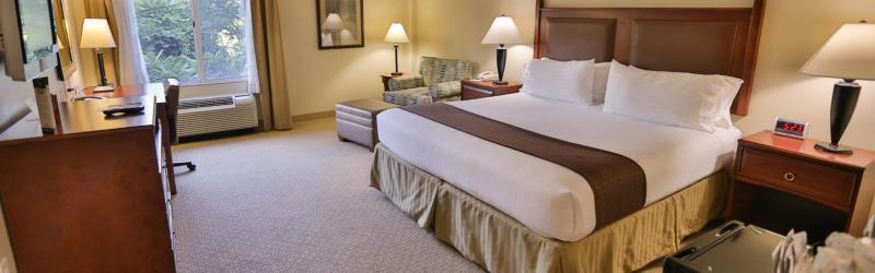 Holiday Inn Express & Suites Asheville Downtown By Ihg מראה חיצוני תמונה
